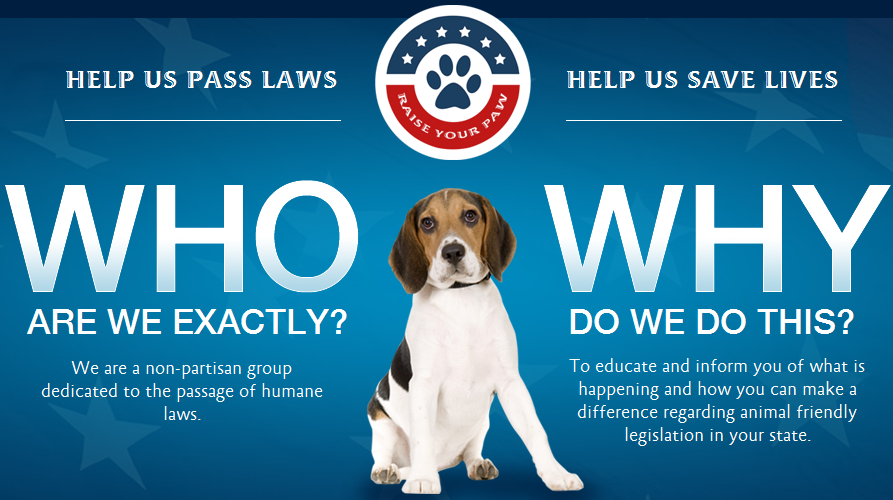 Indiana Companion Animal Spay Neuter Fund Bill #001501