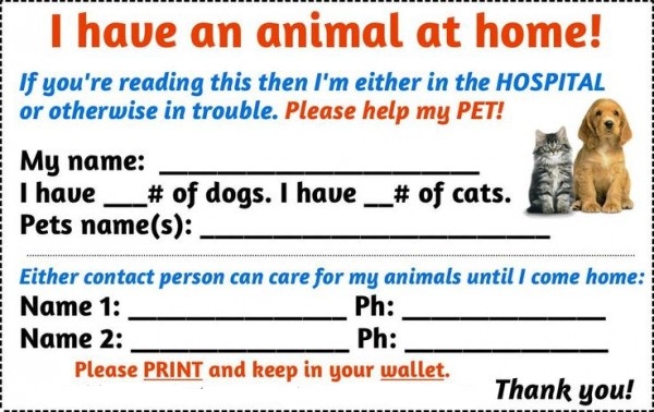 Pet-Emergency-Wallet-Card-2-600x378