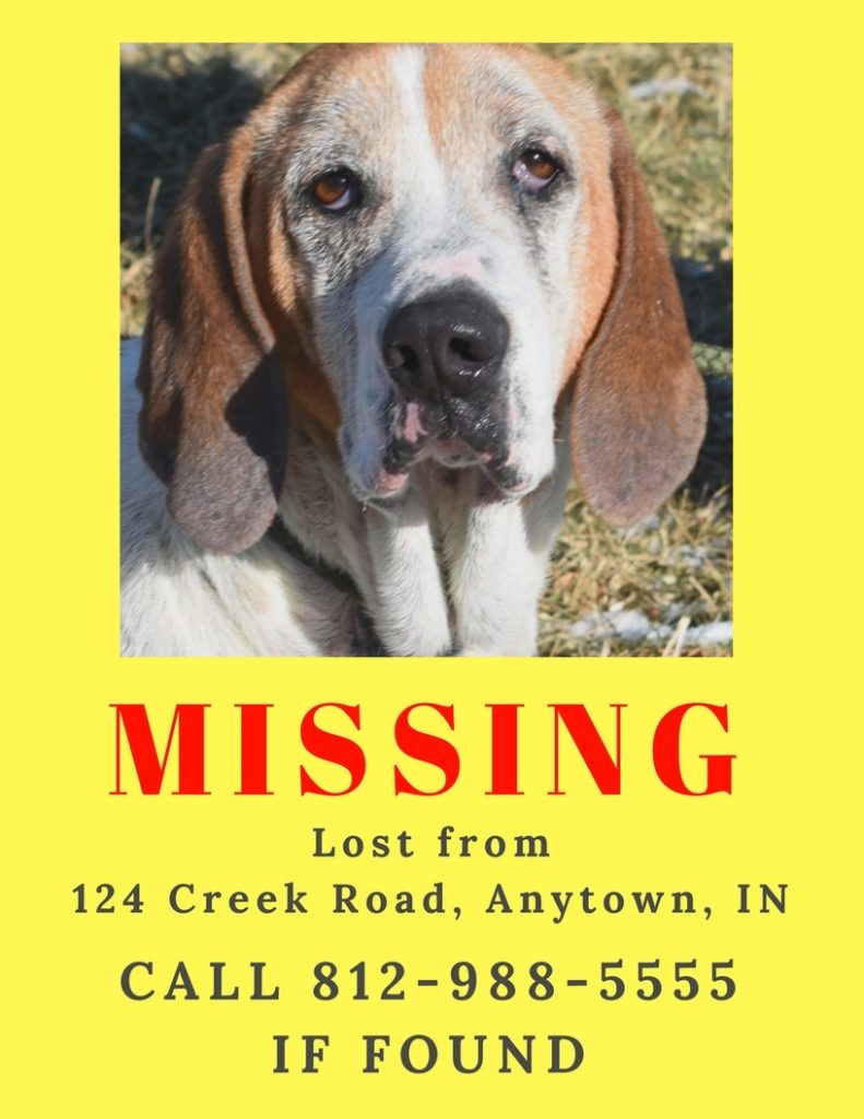 brown-county-humane-society-what-to-do-if-your-dog-is-lost