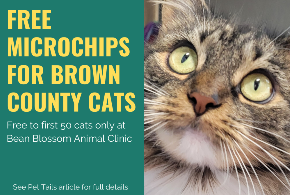 Free Microchips for Brown County Cats