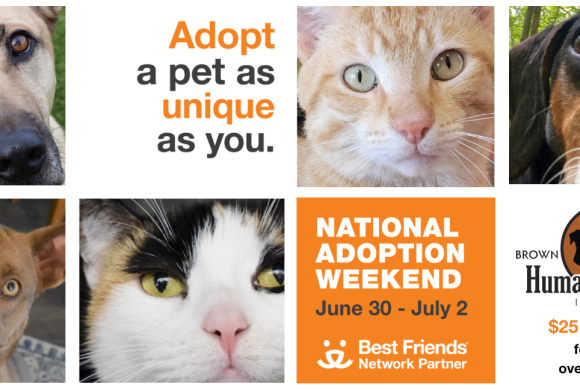 Adopt a Pet as Unique as You – $25 Adoption Special